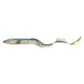 Savage Gear Real Eel - Charmeleon