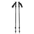 Black Diamond Explorer 2 Trekking Poles i farven Ink Blue