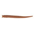 Berkley Gulp Sandorm | Natural
