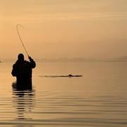 Fiskeriet foregår i Roskilde fjord og Isefjorden