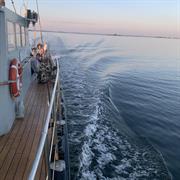 En skøn fisketur efter makrel ombord på Marianne F