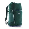 Patagonia Fieldsmith Roll Top Pack i farven Cascade Green