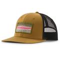 Patagonia Take a Stand Trucker Hat i farven Rainbow Run / Bobcat Brown
