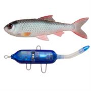 Starterkit med roach i en skalle farve.