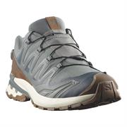 Salomon XA Pro 3D V9 GTX Lifelong til Mænd i farven Sedona Sage / Coyote Brown