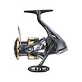 Ultegra FD i et mat / guld design.
