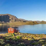 Vandretur i Grønland og Arctic Circle Trail